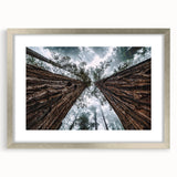 Framed wall art featuring a serene landscape design with mist and fog, set in a silver frame with a mat, highlighting tranquil nature elements. Perfect for home decor.