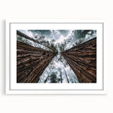 Framed wall art featuring a serene landscape design with mist and fog, presented in a white mat for a modern aesthetic, ideal for home decor enhancement.