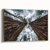 Framed canvas wall art featuring a misty landscape design with fog and soft hues of blue and gold, ideal for enhancing modern home decor. The artwork is elegantly styled, showcasing a serene atmosphere that complements various interior themes.