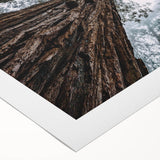 Rolled canvas artwork showcasing a serene landscape design with misty fog over mountains, perfect for adding tranquility to any room decor.