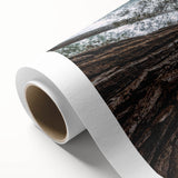 Rolled canvas wall art showcasing a serene landscape design with misty fog, perfect for enhancing home decor. The artwork emphasizes soft colors and tranquil scenery, ideal for creating a calming atmosphere.