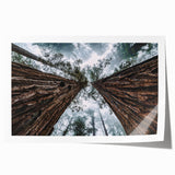 Rolled print of a serene landscape featuring misty mountains and fog, designed for wall art decor, showcasing soft pastel colors for a calming ambiance.