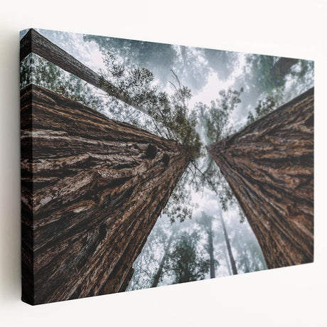 Stretched canvas wall art showcasing a serene misty landscape with soft fog, ideal for adding a calming touch to any room decor. Perfect for nature enthusiasts.