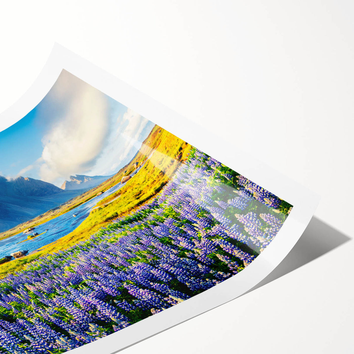 Stunning rolled print of a mountain landscape, showcasing vibrant colors and intricate details, perfect for home decor or office spaces. Packaged securely for delivery.