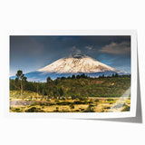 Vibrant rolled wall art print showcasing a stunning mountain landscape design, featuring rich colors and intricate details, perfect for home decor.