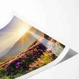 Vibrant rolled print of a mountain landscape design, showcasing rich colors and intricate details, ideal for home decor or art collection, packaged securely for delivery.