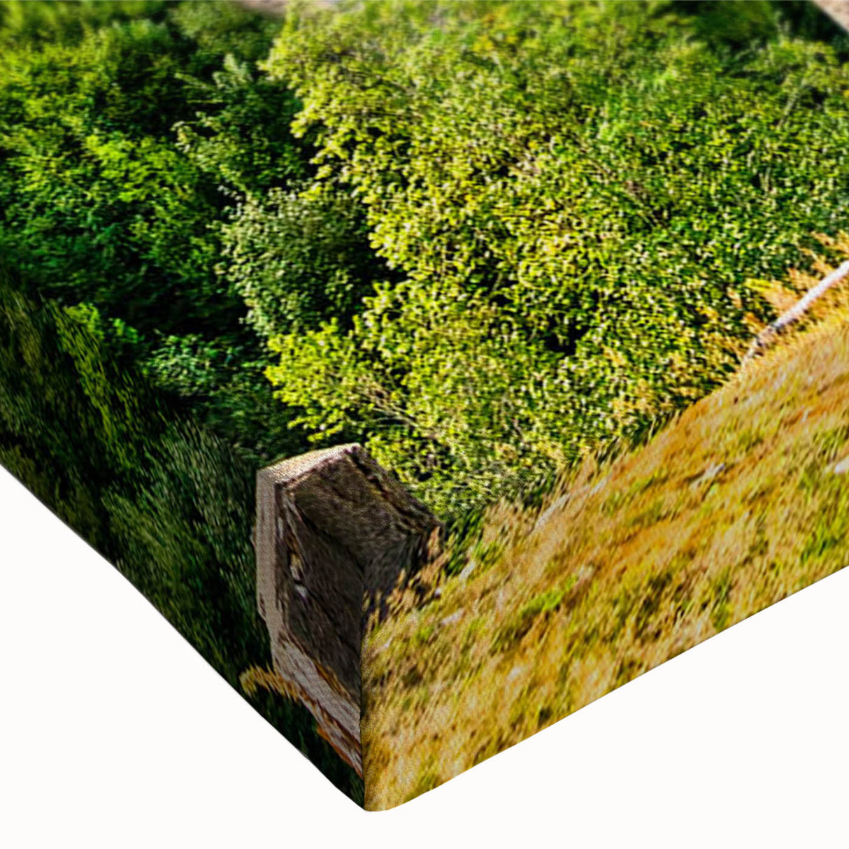 Close-up of a vibrant stretched canvas depicting a scenic railroad landscape, showcasing lush greenery and a clear blue sky, perfect for home or office decor.
