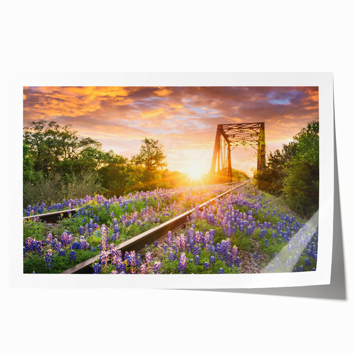 Rolling landscape wall art print showcasing vibrant colors and intricate railroad design, ideal for enhancing home decor. Packaged securely in a durable tube.