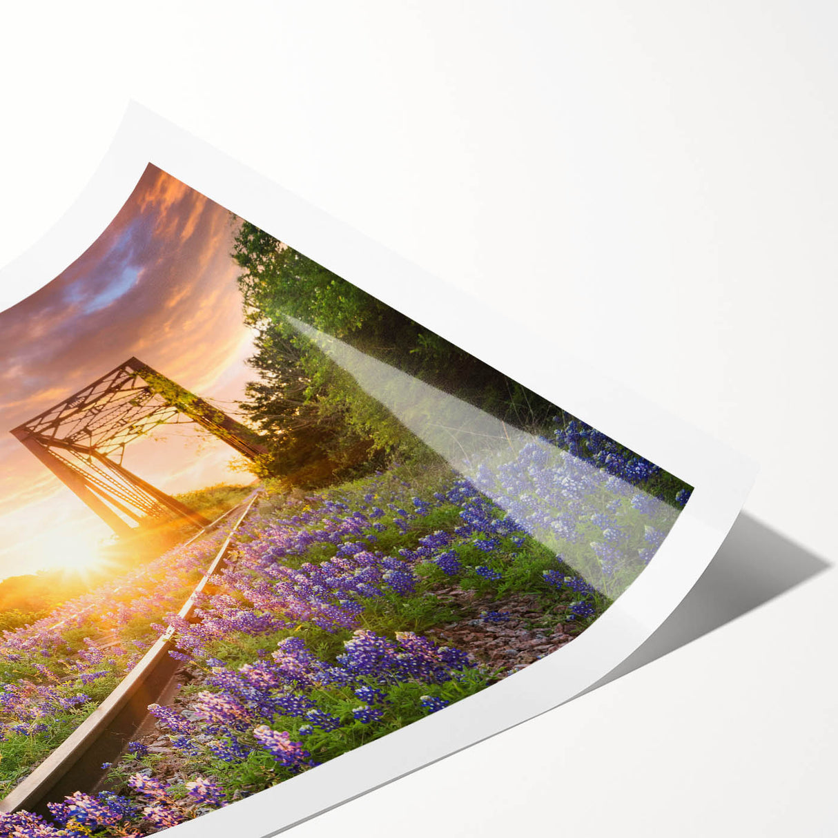Vibrant rolled print of a serene railroad landscape, showcasing lush greenery and a winding track, perfect for home decor in a modern setting.