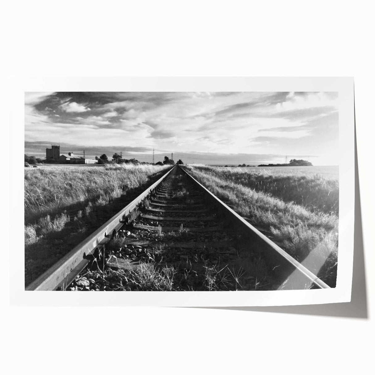 Rolled print of a vibrant landscape featuring railroads and trees, showcasing rich colors and intricate details, ideal for home or office decor.