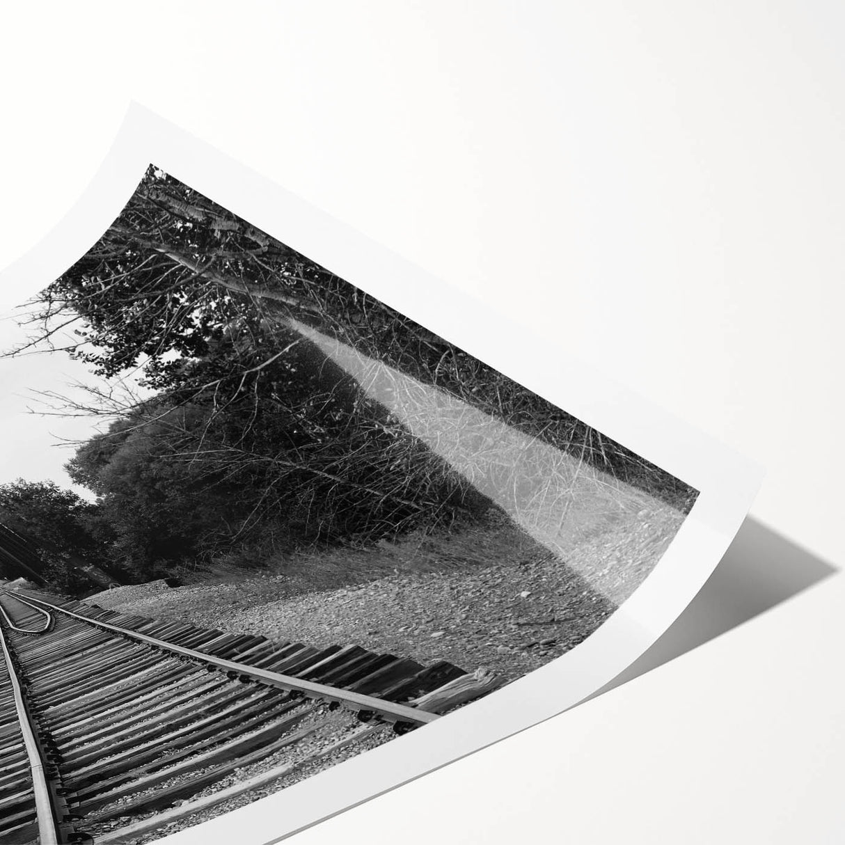 Rolled print of a vibrant landscape featuring a scenic railroad, showcasing lush greenery and a serene sky, ideal for enhancing home decor with nature-inspired art.