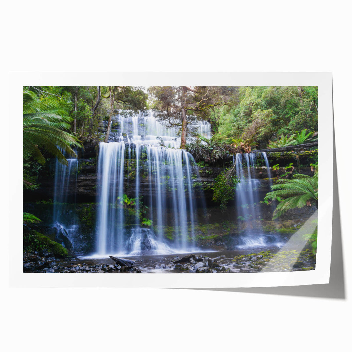 Vibrant rainforest landscape wall art print showcasing lush green foliage, exotic plants, and a serene atmosphere, perfect for home decor enthusiasts.