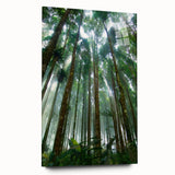 Acrylic glass wall art depicting a vibrant rainforest landscape, showcasing rich greens and tropical flora, perfect for adding a serene touch to any room decor.