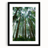 Framed wall art collection showcasing a vibrant rainforest landscape design with lush greenery, deep blues, and earthy tones, perfect for nature-themed decor.