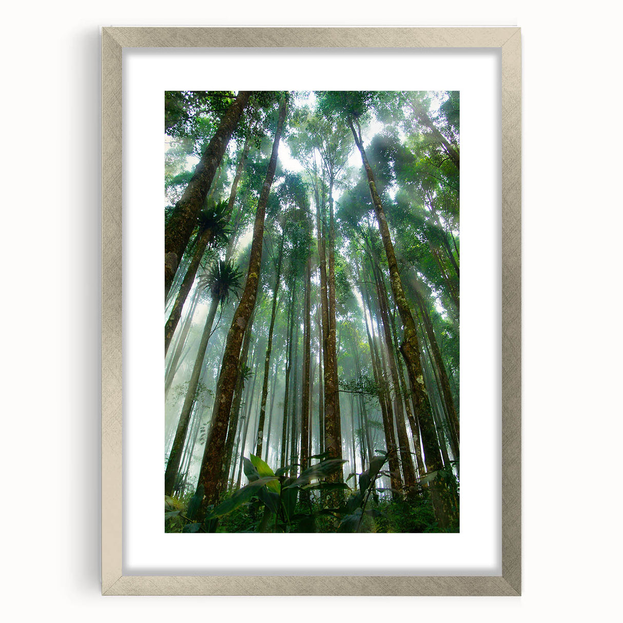 Framed rainforest landscape wall art design featuring vibrant greens and earthy tones, presented in a sleek silver frame with a mat, ideal for nature-inspired decor.