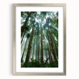 Framed rainforest landscape wall art design featuring vibrant greens and earthy tones, presented in a sleek silver frame with a mat, ideal for nature-inspired decor.