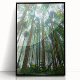 Framed acrylic wall art featuring a vibrant rainforest landscape design, showcasing lush greenery and vivid colors, perfect for adding a natural touch to home decor.