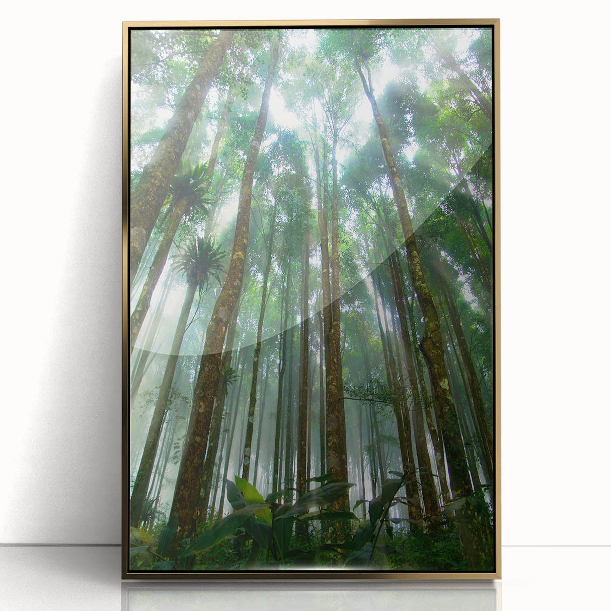 Framed acrylic wall art showcasing a vibrant rainforest landscape design with lush greenery and colorful flora, accented with a gold frame for an elegant touch. Perfect for enhancing modern home decor.