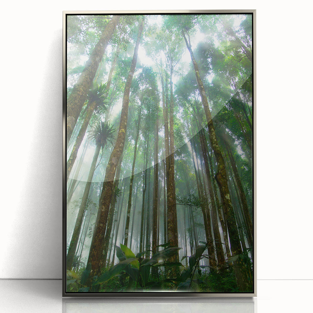 Framed acrylic wall art depicting a vibrant rainforest landscape, featuring lush greenery and a serene atmosphere, perfect for home decor enhancement.