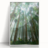 Framed acrylic wall art showcasing a vibrant rainforest landscape design, featuring lush green foliage and colorful flora, displayed on a white background for a modern aesthetic. Perfect for nature-themed home decor.