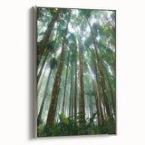 Framed canvas wall art showcasing a vibrant rainforest landscape design with rich green foliage and intricate details, elegantly displayed with a silver frame.