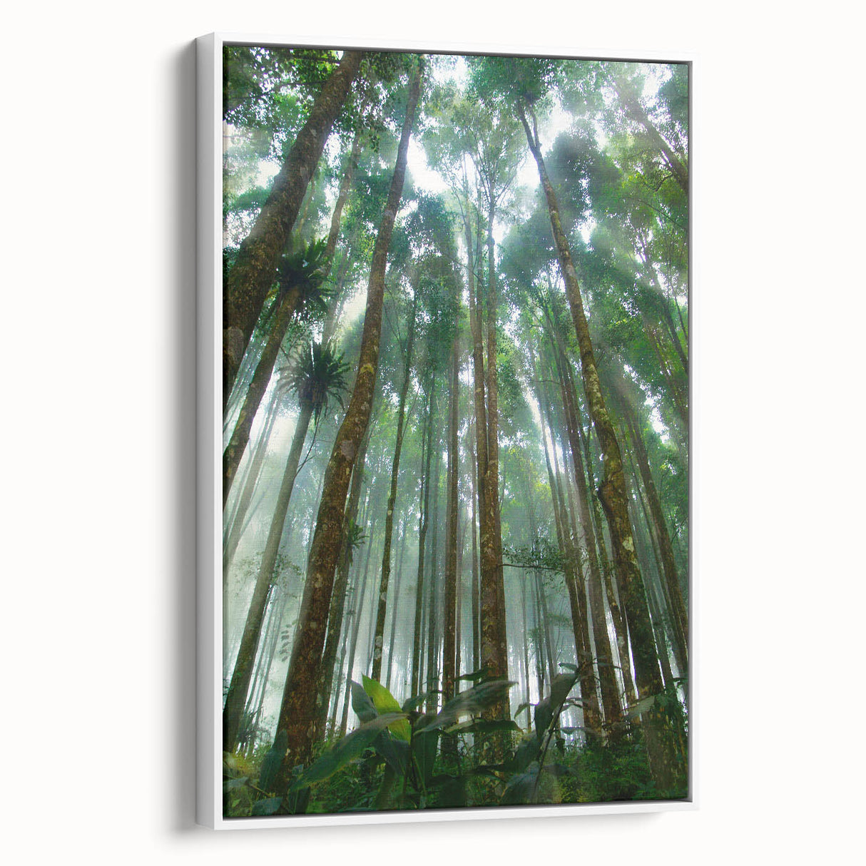Framed canvas wall art featuring a vibrant rainforest landscape design, showcasing lush greenery and colorful flora, presented from a side view against a white background.