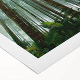 Vibrant rolled canvas depicting a lush rainforest landscape, showcasing rich green foliage and tropical elements, ideal for nature-themed decor.