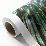 Vibrant rolled canvas showcasing a lush rainforest landscape with rich greens and blues, designed for wall art display, perfect for nature-inspired decor.