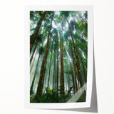 Vibrant rainforest landscape wall art print showcasing lush greenery and tropical flora, rolled for easy transport, perfect for nature-themed home decor.