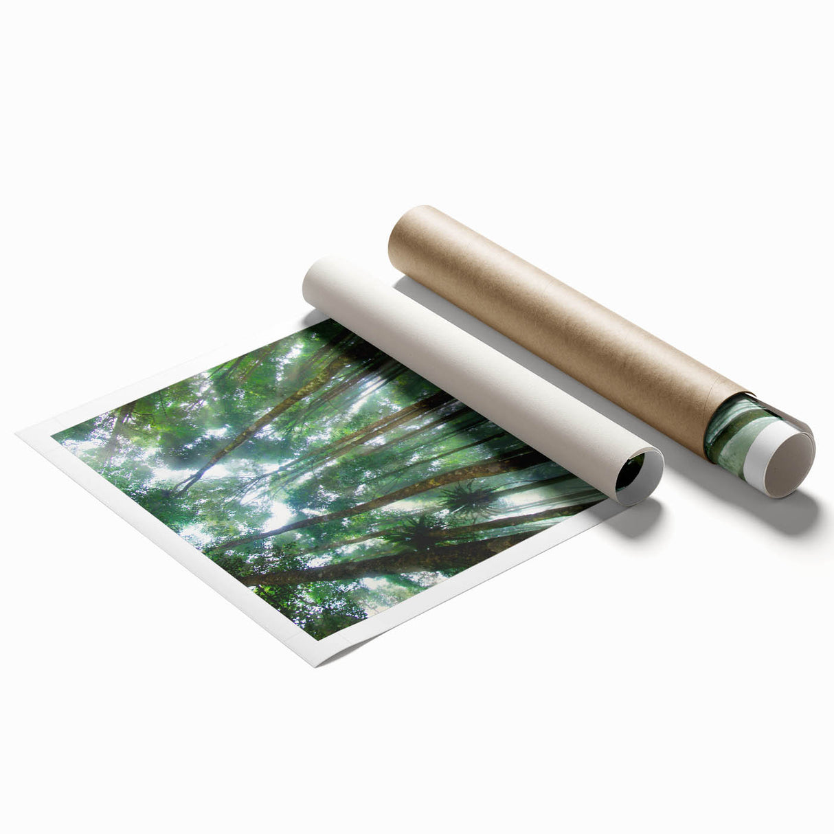 Vibrant rainforest landscape wall art print showcasing lush greenery and exotic flora, rolled and ready for framing to enhance any tropical-themed decor.
