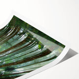 Vibrant rainforest landscape wall art print showcasing lush greenery and rich colors, rolled for easy transport and display in any home decor. Ideal for nature enthusiasts.