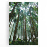 Stretched canvas wall art showcasing a vibrant rainforest landscape design, featuring lush green foliage and vivid colors, perfect for enhancing any nature-themed decor.