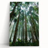 Stretched canvas wall art depicting a vibrant rainforest landscape, featuring lush greenery and vivid colors, perfect for adding a tropical touch to home decor.