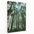 Stretched canvas wall art showcasing a vibrant rainforest design, featuring lush greenery and tropical elements, ideal for enhancing home decor with a natural touch.