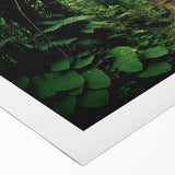 Vibrant rainforest landscape wall art design printed on rolled canvas, showcasing lush greenery and vivid colors, ideal for home decor and nature enthusiasts.
