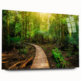 Acrylic glass wall art featuring a vibrant rainforest landscape design, showcasing lush greenery and vivid colors, ideal for enhancing modern home decor.