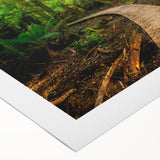 Vibrant rolled canvas wall art showcasing a lush rainforest landscape with vivid greens and rich details, ideal for nature-inspired decor and interior design.