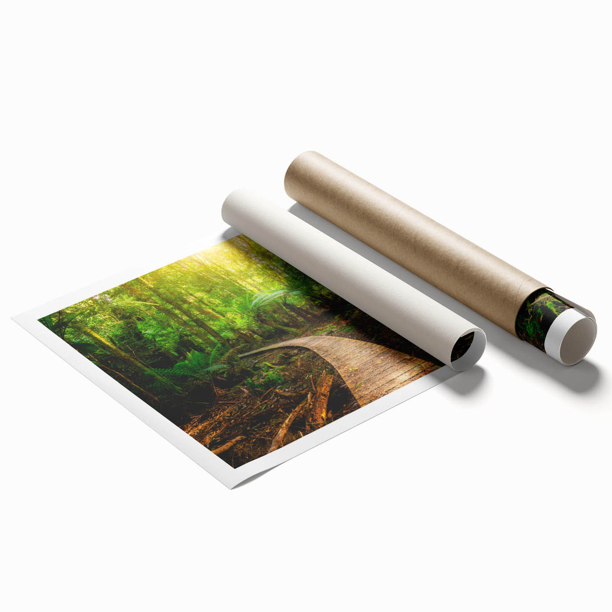 Vibrant rainforest-themed wall art print showcasing lush greenery and exotic flora, rolled for easy shipping, perfect for enhancing living spaces with nature-inspired decor.