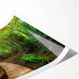 Vibrant rainforest landscape wall art print showcasing lush green foliage and intricate details, rolled and packaged in a protective cardboard tube for easy display.