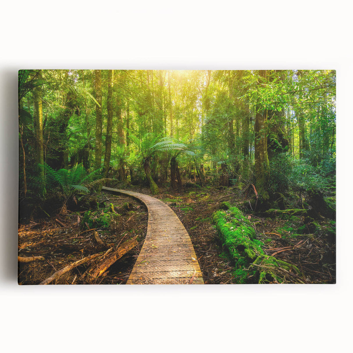 Vibrant rainforest landscape wall art on stretched canvas, showcasing lush greenery and vivid colors, perfect for nature enthusiasts and home decor.