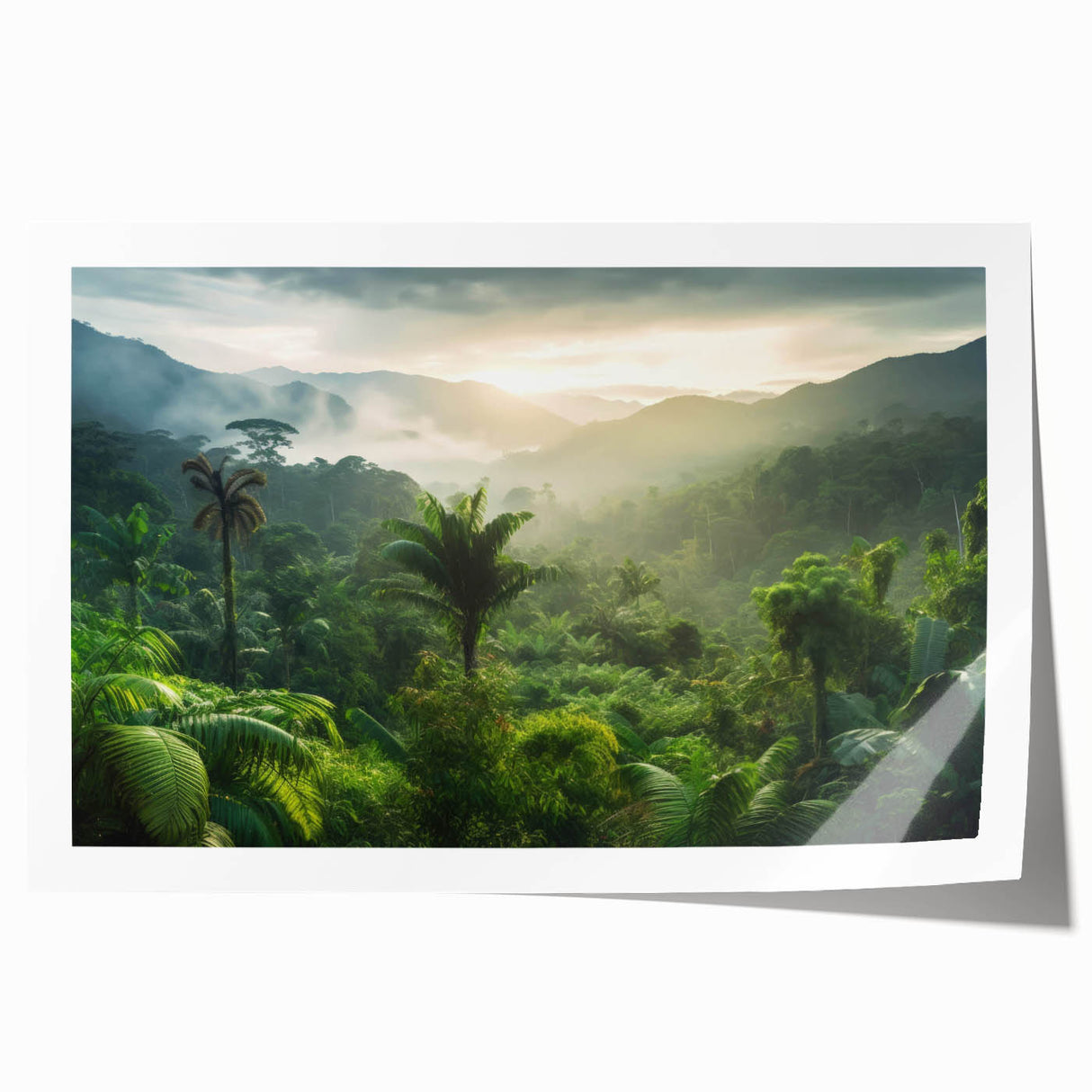Vibrant rainforest landscape wall art print showcasing lush greenery and tropical plants, rolled for easy transport and display, perfect for nature-inspired decor.