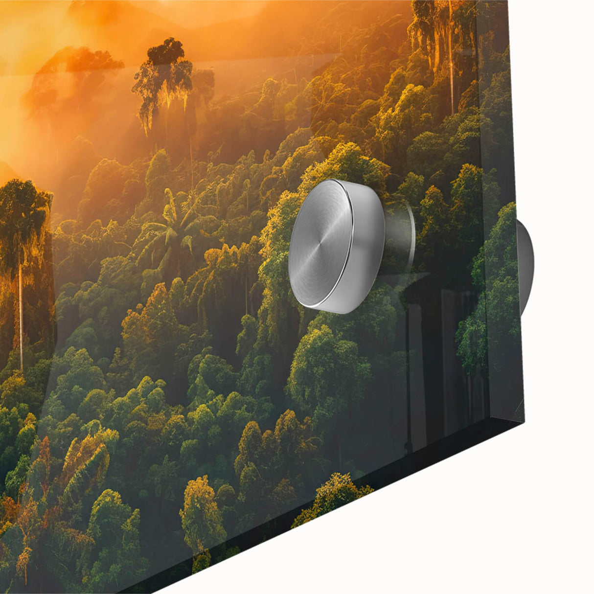 Close-up of a vibrant rainforest landscape wall art design, showcasing lush green foliage and intricate details, printed on acrylic glass for a striking visual effect. Perfect for nature enthusiasts and home decor lovers.
