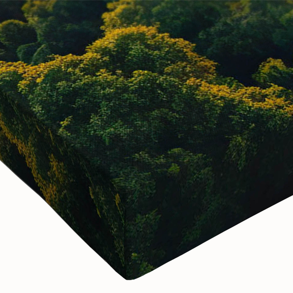Close-up of a vibrant rainforest landscape canvas wall art piece showcasing lush greenery and intricate details, perfect for adding a nature-inspired touch to any room.