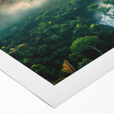 Rolled canvas featuring a vibrant rainforest landscape design, showcasing lush green foliage and tropical plants, ideal for home decor or nature enthusiasts.