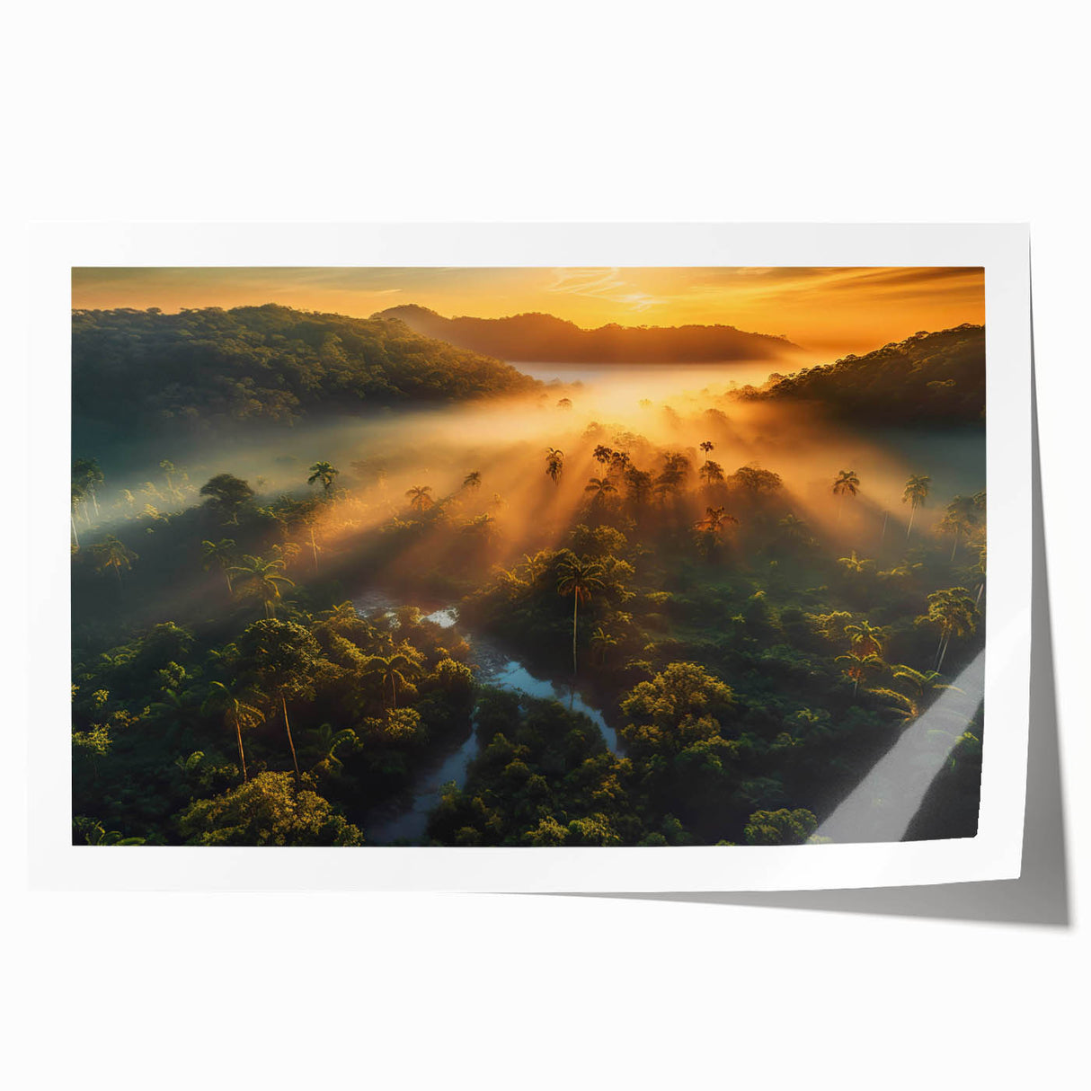 Vibrant rainforest landscape wall art print showcasing lush greenery and tropical flora, rolled and packaged in a protective tube for easy display. Ideal for nature enthusiasts and home decor.