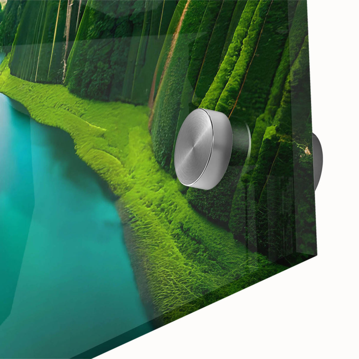 Close-up of vibrant rainforest wall art collection featuring lush green foliage and intricate details, printed on acrylic glass for a modern aesthetic. Perfect for enhancing interior decor with a nature-inspired theme.