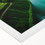 Vibrant rainforest landscape wall art on rolled canvas, showcasing rich green foliage and intricate details, perfect for enhancing home decor and nature themes.