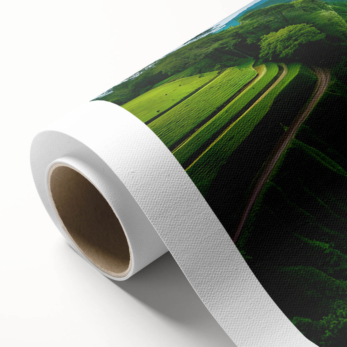 Vibrant rainforest landscape wall art design on rolled canvas, showcasing lush greenery and rich colors, ideal for enhancing any room's decor. Perfect for nature lovers and art enthusiasts.