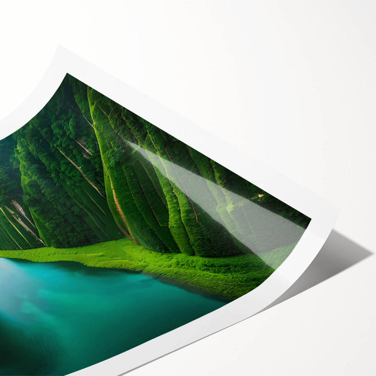 Vibrant rolled print of a rainforest landscape wall art collection showcasing lush greenery and diverse plant life, ideal for nature-inspired decor.