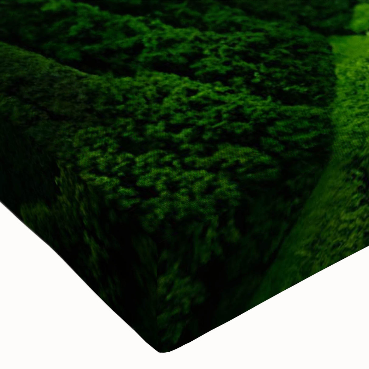 Close-up of a vibrant rainforest landscape wall art design on stretched canvas, showcasing lush green foliage and rich textures, ideal for nature-themed decor.